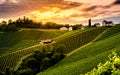 Moody landscape of south Styrian grape hills