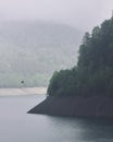 Moody landscape with trees, lake and a bird