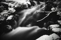 Moody long exposure shot of smooth water flowing over wood and rocks Royalty Free Stock Photo