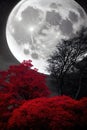 Moody night landscape, trees with red leaves against the backdrop of a giant moon, a fantastic background. Generative Ai.