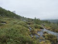 Moody northern landscape in Swedish Lapland with hiker figure in distance, granite rock, birch bush at Padjelantaleden Royalty Free Stock Photo