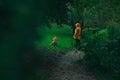 Moody picture of a woman in yellow raincoat taking a dog for a walk and looking as he is taking a piss. Dog urinating on a walk in