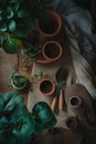 Moody, rustic scene of potting plants with rich green leaves against a backdrop of earthy terracotta pots and gardening tools, all