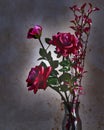 Moody shot of red roses in glass vase. Royalty Free Stock Photo