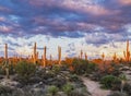 Moody skies on mountain biking trail in North Scottsdale AZ