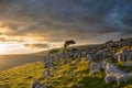 Moody sunrise on the Yorkshire moors