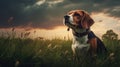 Moody Tonalism: A Captivating Portrait Of A Beagle Grazing In A Field