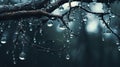 Moody Tonalism: Water Drops On Tree Branches Wallpaper