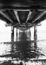 The Underside of A Timber Pier In New Zealand