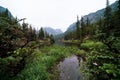 Moody view of Loch Vale lake in Rocky Mountain National Park Colorado