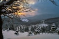 Moody winter landscape with dark bare tree on covered with fresh fallen snow field in wintry mountains on cold gloomy evening Royalty Free Stock Photo