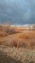 Moody winter Wyoming sky rustic landscape Royalty Free Stock Photo