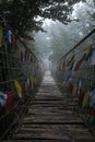 Moody wood bridge in the super atmospheric forest surrounded by fog. Royalty Free Stock Photo