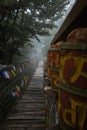 Moody wood bridge in the super atmospheric forest surrounded by fog. Royalty Free Stock Photo