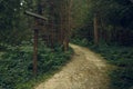 Moody wood land forest outdoor environment space with dirt trail for tourists and wooden road sign neat path