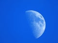 First Quarter Moon in a daytime blue sky