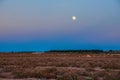 Moon above salt desert Chott el Djerid, Sahara desert, Tunisia, Africa Royalty Free Stock Photo