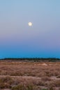 Moon above salt desert near salt lake Chott el Djerid, Sahara desert, Tunisia, Africa Royalty Free Stock Photo