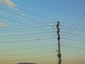 The moon ad power lines