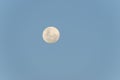 Moon alone in blue sky Royalty Free Stock Photo
