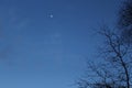 The moon appeared in the dark evening sky. Silhouettes of winter trees graceful against the sky