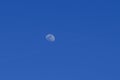 The moon appears in the blue sky during the day