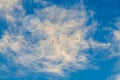Moon Birds Blue Sky Clouds Royalty Free Stock Photo