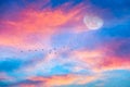 Moon Birds Sunset Painting Royalty Free Stock Photo