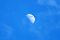 Moon in a blue cloudless sky. moon day field Royalty Free Stock Photo