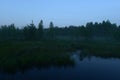 Moon in the blue night sky above the forest before dawn Royalty Free Stock Photo