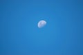 The moon on a clear summer day Royalty Free Stock Photo