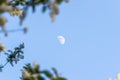 Moon in blue sky at daytime Royalty Free Stock Photo