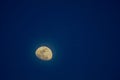 The moon on the blue sky in thailand Royalty Free Stock Photo