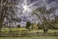 Moon beams over farmland in late Fall