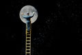 Moon Cleaning Ladder