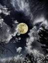 moon cloud night