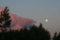 Moon and clouds-alligator Royalty Free Stock Photo