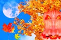 Moon collage of colourful autumn leaves on maple trees and halloween pumpkin on the background of sunny blue sky Royalty Free Stock Photo