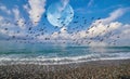 Moon collage of green glowing sunny waves of Black Sea with reflections of blue cloudy sky