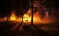 Moon collage of night bench in mist dark tree alley with lamps a