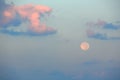 Moon at dawn Royalty Free Stock Photo