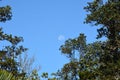 Moon during the day in blue skys