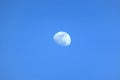 Moon by day in a cloudless sky