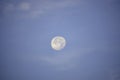 Moon in daylight On the bright sky Royalty Free Stock Photo