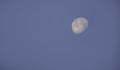 Moon in daylight On the bright sky Royalty Free Stock Photo