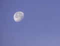 Moon in daylight On the bright sky Royalty Free Stock Photo