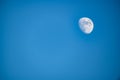Moon in daylight on the bright sky. Royalty Free Stock Photo
