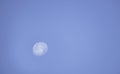 Moon in daylight On the bright sky Royalty Free Stock Photo