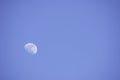 Moon in daylight On the bright sky Royalty Free Stock Photo