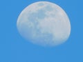 Moon daytime bright beautiful sky Royalty Free Stock Photo